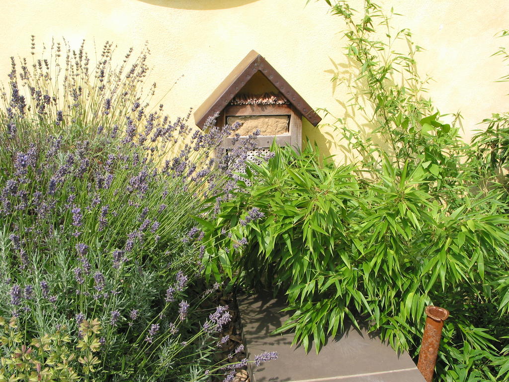 Bambus, Lavendel und ein Insektenhotel auf dem Dach der Galerie