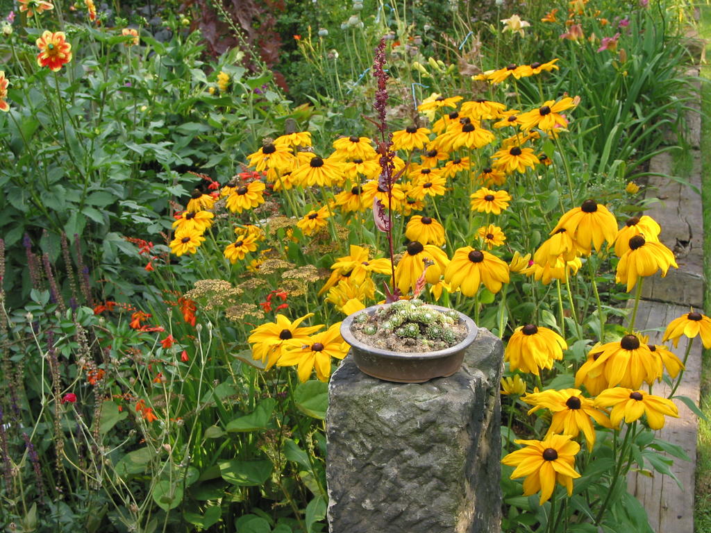 Alte Sandsteine bilden an vielen Stellen im Garten Beeteinfassungen und