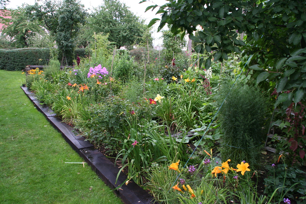 Taglilien im Bauerngarten Saxdorfer Pfarrgarten