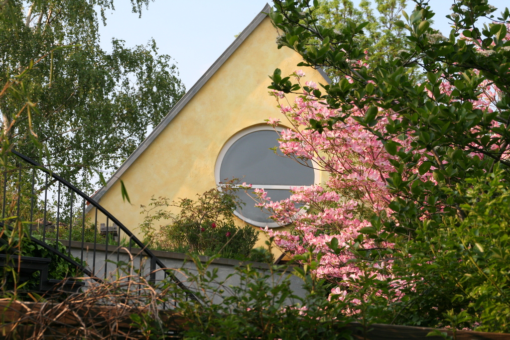 Begrüntes Dach der Galerie: Magnolie