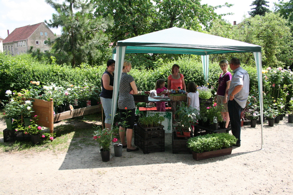 Rosenfest 2011: entspanntes Fachsimpeln beim Pflanzenverkauf der Gärtner