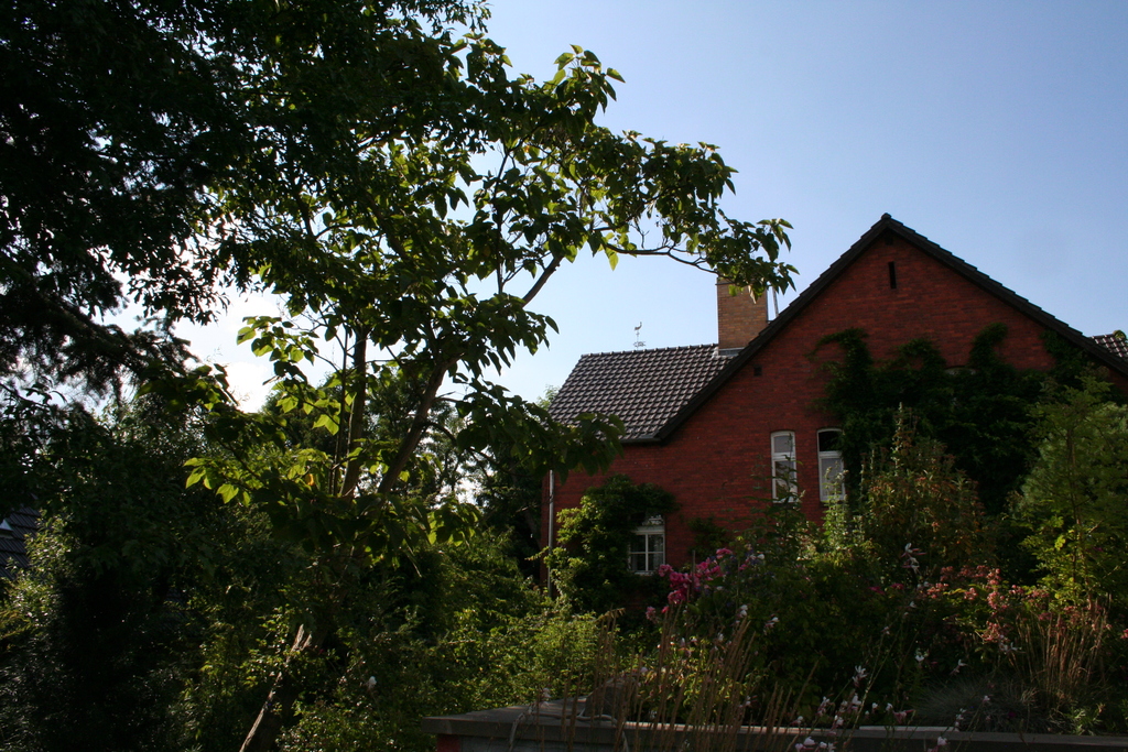 Juli 2014: Blick vom begrünten Dach
