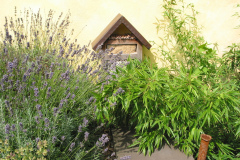 Bambus, Lavendel und ein Insektenhotel auf dem Dach der Galerie