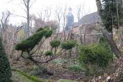 winterliche Struktur
