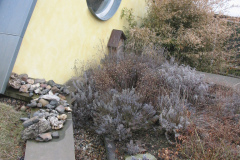 Begrüntes Dach der Galerie