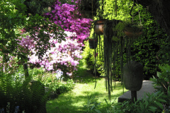 Kakteen in hängenden Töpfen im Garten