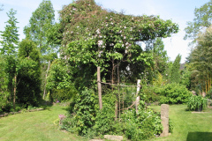 Gartenansicht