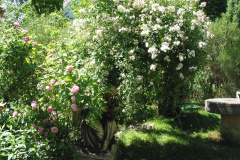 Im Sommer ist der Engel unter den üppigen Rosen kaum zu erkennen