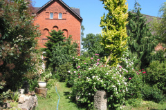 Gartenansicht zur Rosenblüte