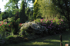 Rosengarten