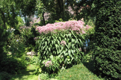 Gartenansicht