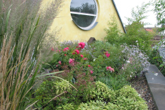 Begrüntes Dach der Galerie, Kräuter und Rosen