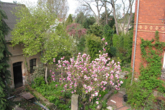 Gartenansicht im Winter