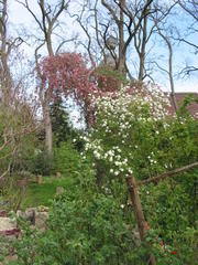 Gartenansicht im Winter