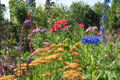 Mohn, Rittersporn, Schafgarbe