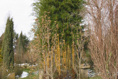 Gartenansicht im Winter