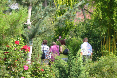 Bambusfest:
Besucher überall im Garten