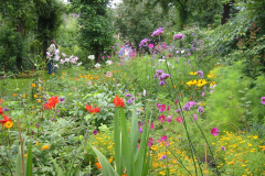 Bambusfest:
Gartenimpressionen im Hochsommer.
Sommerblumen