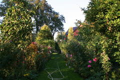 Gartenansicht