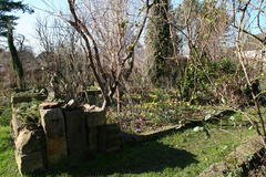 spätwinterlicher Garten mit Krokussen und Winterlingen