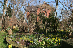 spätwinterlicher Garten mit Krokussen und Winterlingen