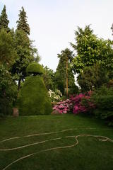 Gartenansicht mit Rhodendron, Buxus und Schlauch