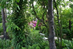 Gartenansicht