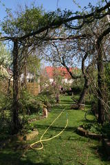 Gartenansicht