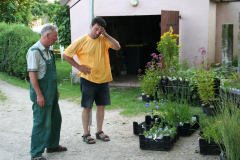 Vorbereitungen zum Bambusfest