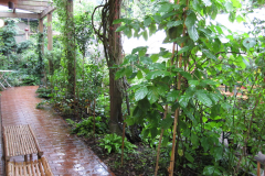 Bambusfest 2010
Noch ist es ruhig ...