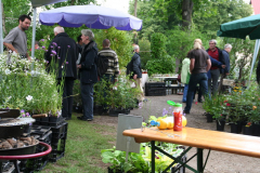 Bambusfest 2010
