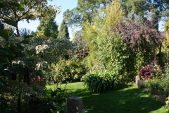 Gartenansicht im Oktober