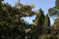 75. Geburtstag Hanspeter Bethke
Gartenansicht im Oktober