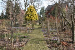 Krokusse, Märzenbecher, Schneeglöckchen und Winterlinge bedecken große Flächen im Garten