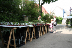 Rosenfest 2011: Stachlige Gesellen in großer Zahl und Auswahl