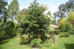 Gartenansicht