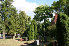 Juli 2014: Gehölze am Friedhof