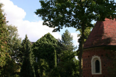 Juli 2014: Gehölze am Friedhof