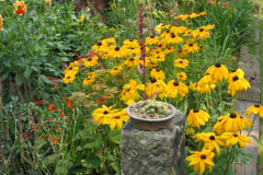 Alte Sandsteine bilden an vielen Stellen im Garten Beeteinfassungen und Säulen. 
Dahinter Rudbeckia