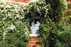 Fenster