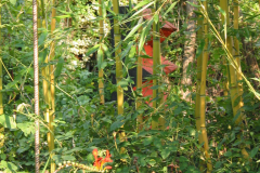 Durchblicke auf Holzskulptur (vor gelbem Bambus)