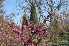 Gartenansicht