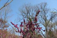 Gartenansicht